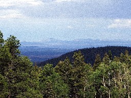 View From Ewells Park